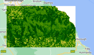 A satellite-derived NDVI (Normalized Difference Vegetation Index) map overlaid on the geographic region of Yorkshire & the Humber, including Middlesbrough, Guisborough, and Scarborough. The map uses shades of green to indicate varying vegetation health, with darker greens representing denser, healthier vegetation and lighter greens or yellowish areas suggesting lower vegetation cover. The underlying map shows major roads and towns for geographic reference